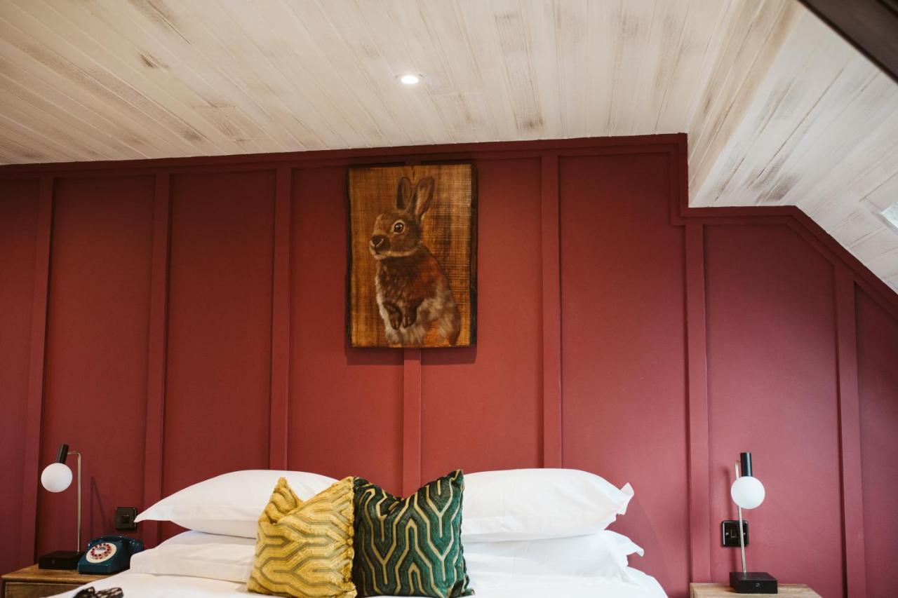 The Rabbit Hotel & Retreat Templepatrick Bagian luar foto